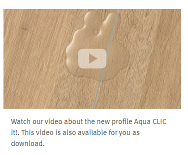video mobile
