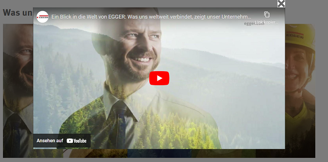 Video Example Overlay
