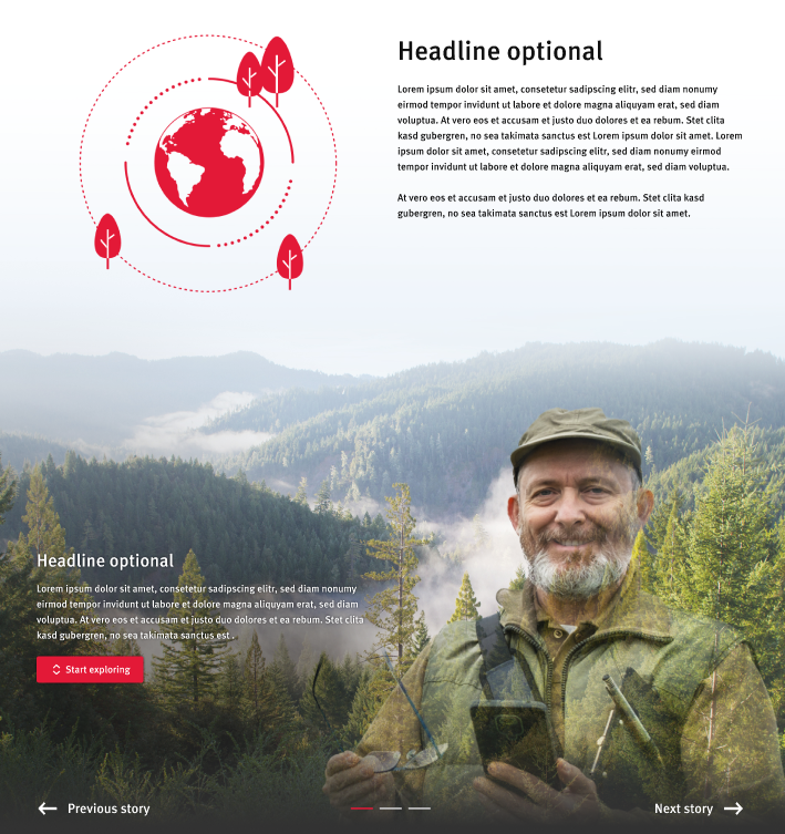 Editorial Feature Example
