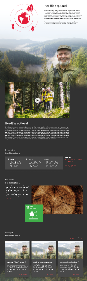 Editorial Feature Example Open