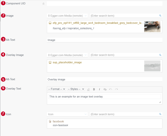 Image Text Overlay Content
