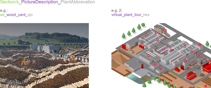 Naming Convention - Pictures with/from plants